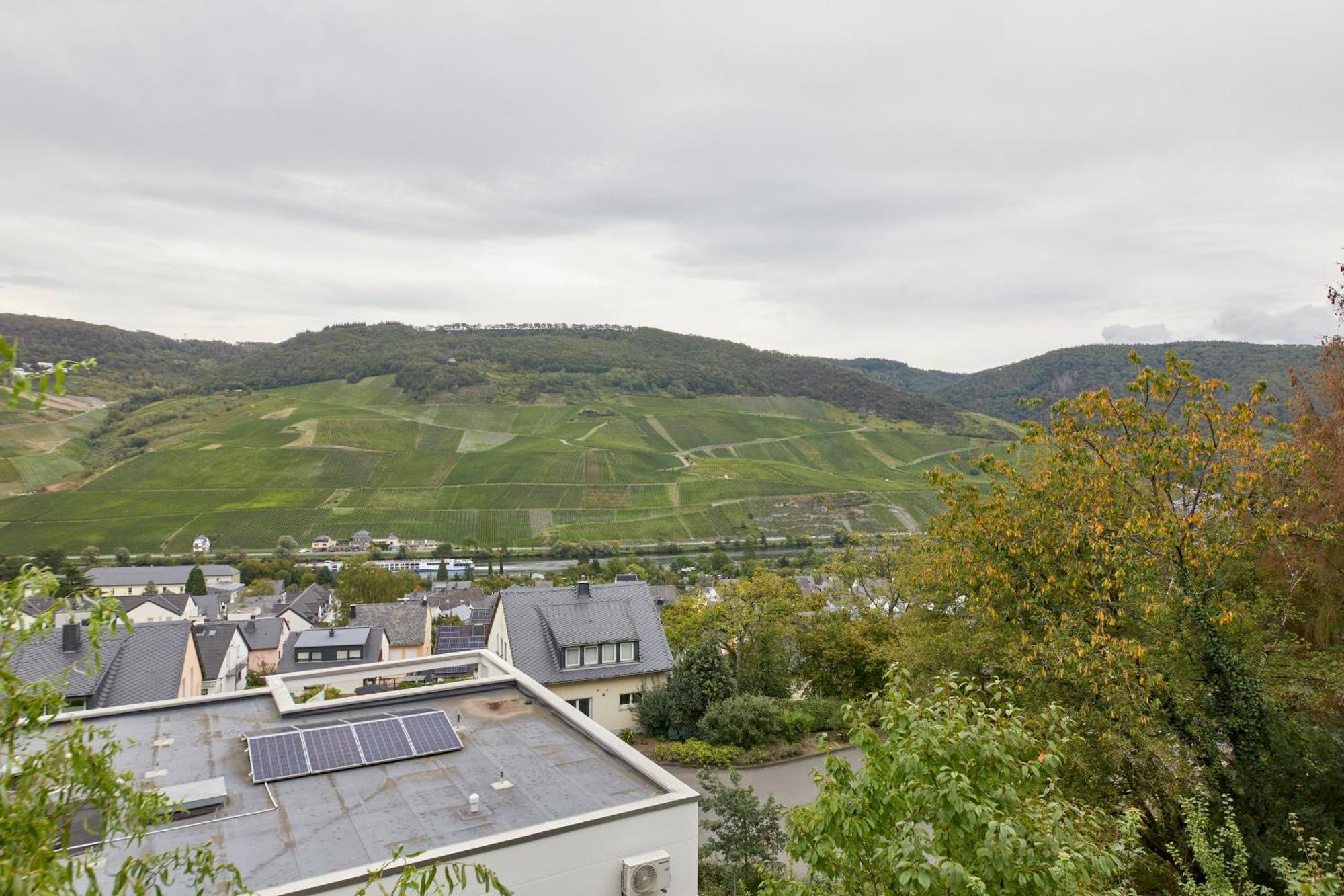 Mosel Panorama Apartment Bernkastel-Kues Exterior photo
